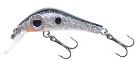   taiga lures.  6